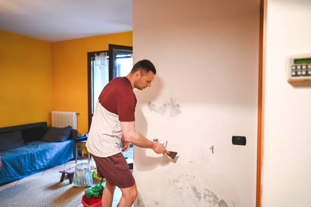 Office Mold Removal Services in Marlene Village, OR